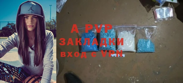 хмурый Алексин
