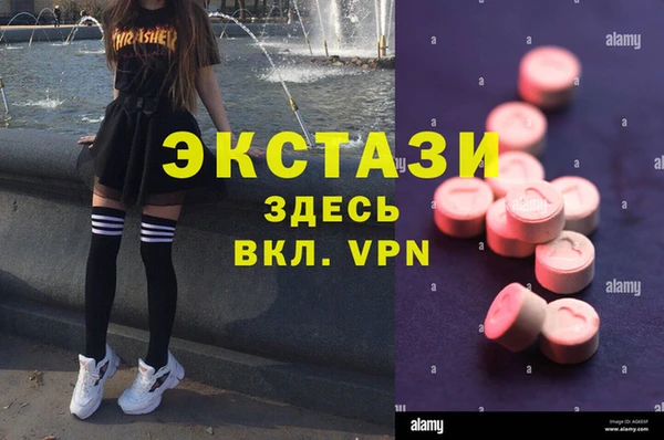 хмурый Алексин