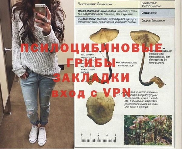 хмурый Алексин