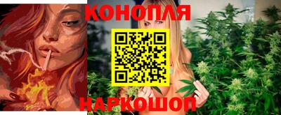 Альфа ПВП Донской