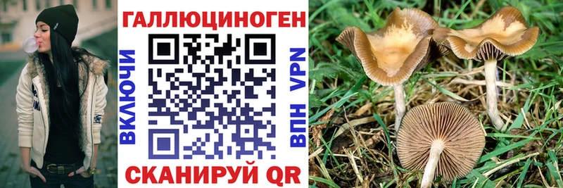 Псилоцибиновые грибы MAGIC MUSHROOMS  Биробиджан 
