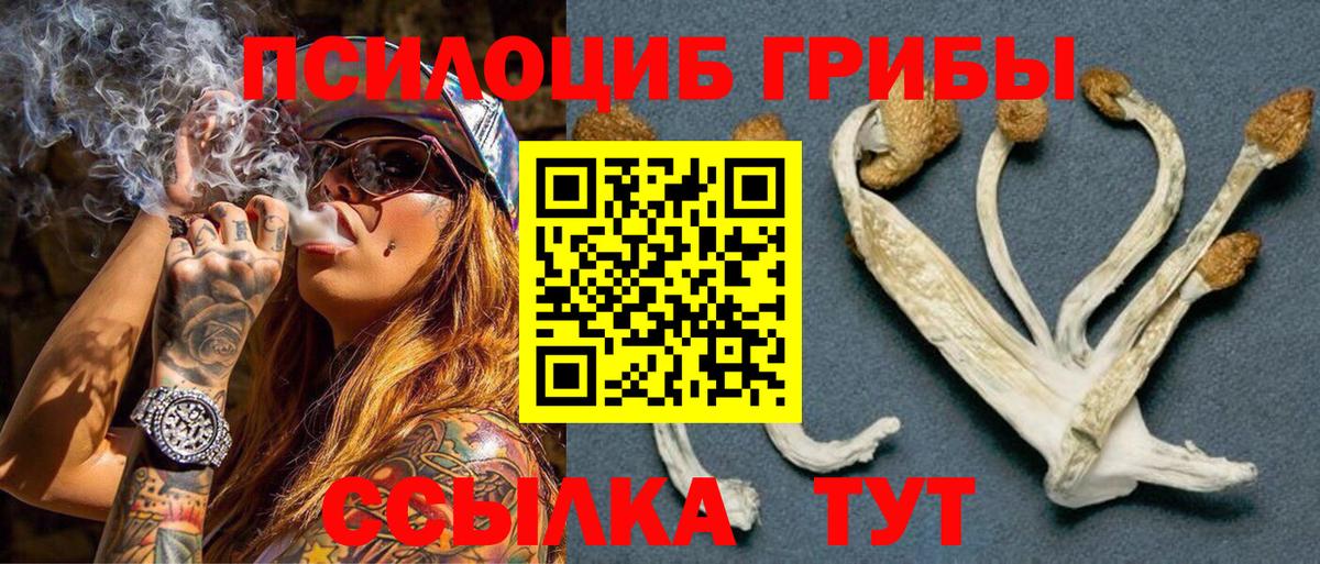 Биробиджан  Галлюциногенные грибы Psilocybine cubensis  Вход с VPN  Галлюциногенные грибы Psilocybine cubensis 